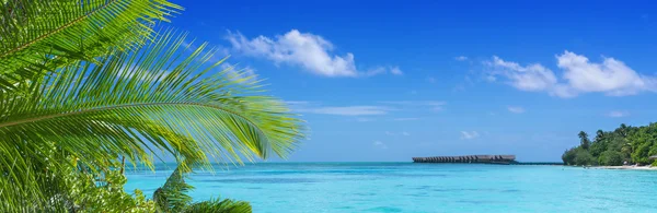 Maldives with palm, sand and ocean — Stock Photo, Image