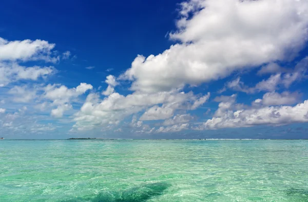 Maldivas com palma, areia e oceano — Fotografia de Stock