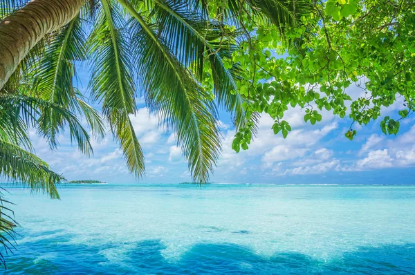 Maldiven met palmbomen, zand en zee — Stockfoto