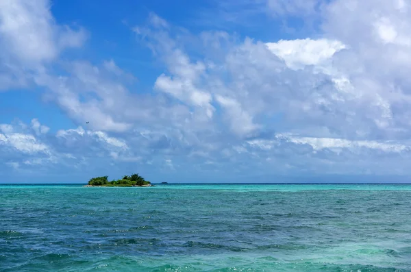 Maldives avec palmier, sable et océan — Photo