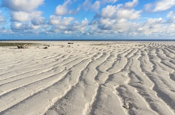 Maldiven met palmbomen, zand en zee — Stockfoto