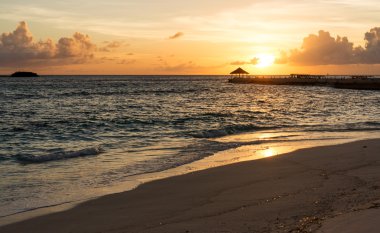 Maldivler palm, kum ve deniz