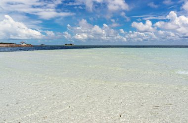 Maldivler palm, kum ve deniz