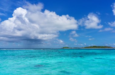 Maldivler palm, kum ve deniz