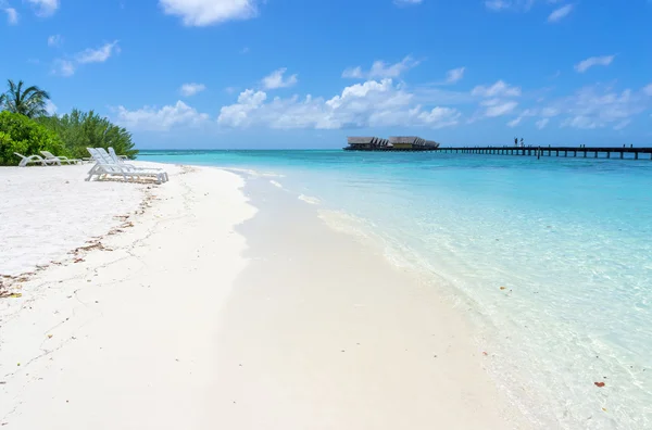 Maldivler palm, kum ve deniz — Stok fotoğraf