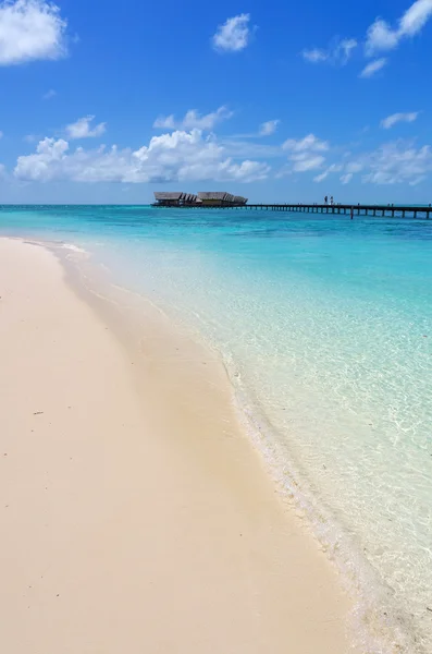 Maldive con palma, sabbia e oceano — Foto Stock