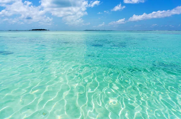 Maldive con palma, sabbia e oceano — Foto Stock