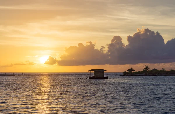 Maldivler palm, kum ve deniz