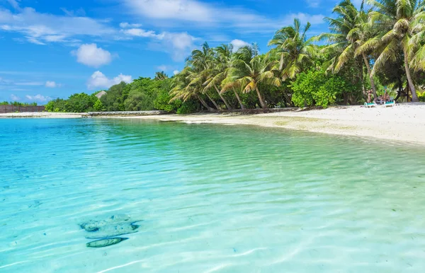 Maldiven met palmbomen, zand en zee — Stockfoto