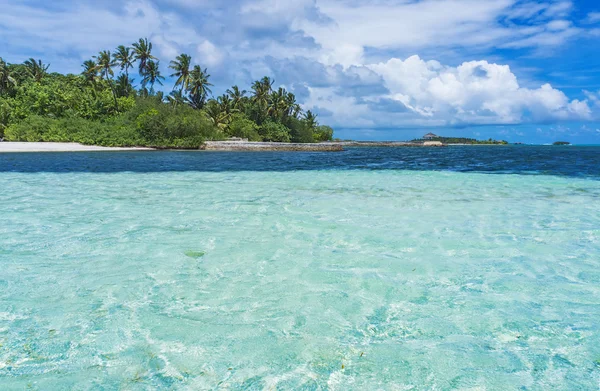 Maldives avec palmier, sable et océan — Photo