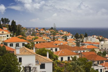 Funchal şehir madeira Adası, Portekiz