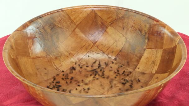 Fioletowy ryż wlewa drewniane miski — Wideo stockowe