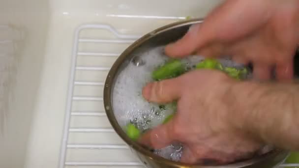 Руки стирают сельдерей в миске мыльной воды в раковине — стоковое видео