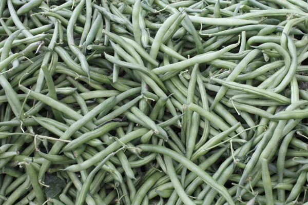 Frijoles de cuerda verde oscuro —  Fotos de Stock