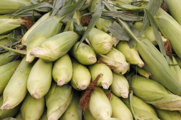 Mais zum Verkauf — Stockfoto