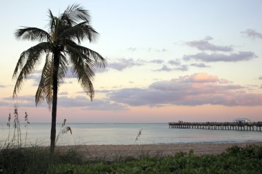 Lauderdale-by-the-Sea, Florida Sunset clipart