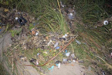Kıyıda yıkanmış beach çöp