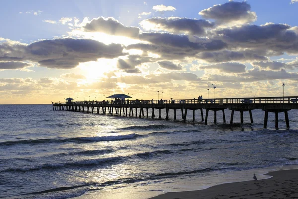 Lauderdale am Meer Morgenangeln — Stockfoto