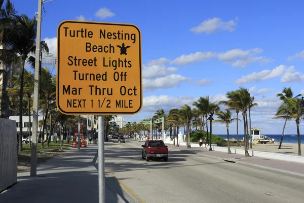Kaplumbağa yuvalama işareti — Stok fotoğraf