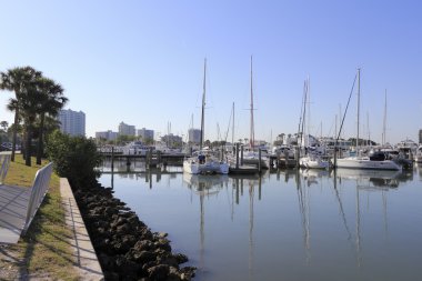 Cove şehir tekne sarasota