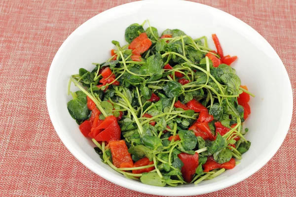 Tasty Watercress Salad — Stock Photo, Image