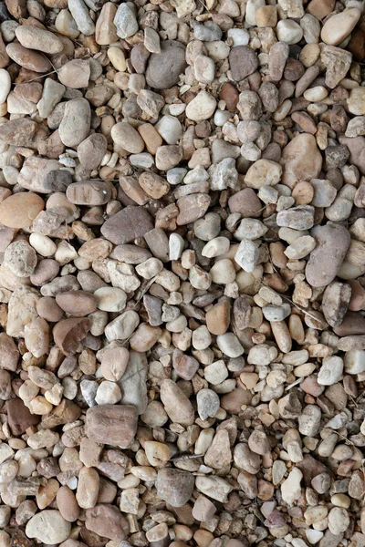 Küçük Orta Büyüklükteki Kaya Taş Çakıl Taşlarının Dal Kuru Otların — Stok fotoğraf
