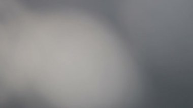 Gerçek zamanlı ağaç yaprağı gölgeleri günlük arka planda buzlu kasırga çarpması penceresinde iç banyoda hareket ediyor. Dışarıdaki ağacın gölgeleri kışın bir iç pencere üzerinde rüzgarda hareket eder.