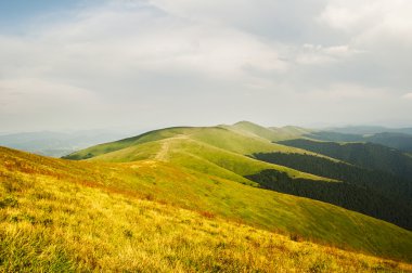zomer bergen panorama
