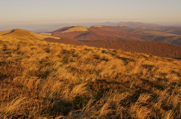 East Beskids. Carpathians Mountains. Lvivska oblast. Ukraine — Stock Photo, Image