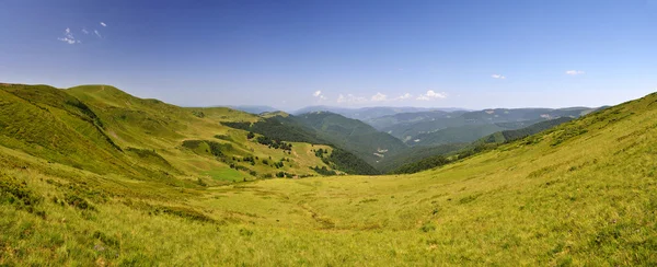 Summer mountain landscape — Stock Photo, Image