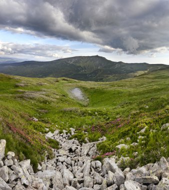 Çernaya hora. Karpatlar. Ukrayna