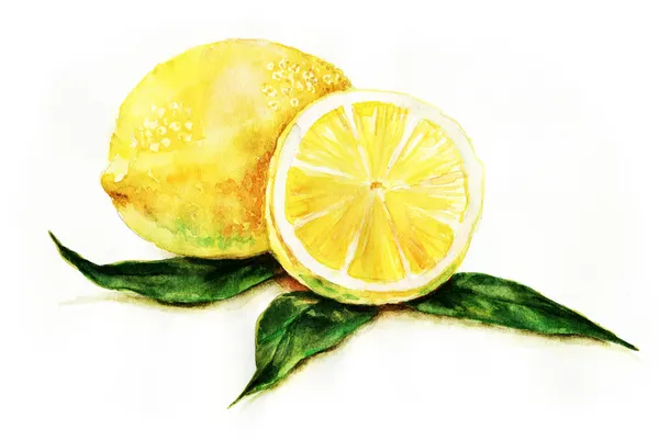 Limon — Stok fotoğraf