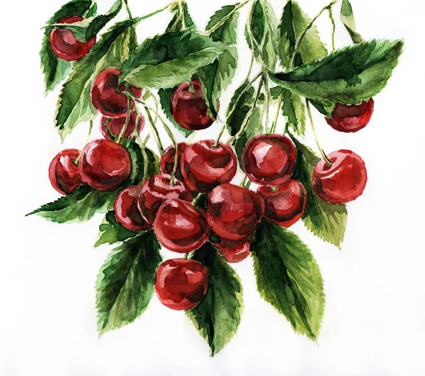 Watercolor cherries — Stock Photo, Image