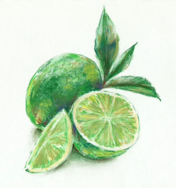 Citruses. Pastels drawing. — Stock Photo, Image