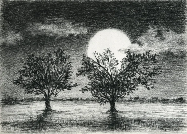 Escena nocturna, dos árboles están iluminados por la luz de la luna, el arte del dibujo de carbón . —  Fotos de Stock