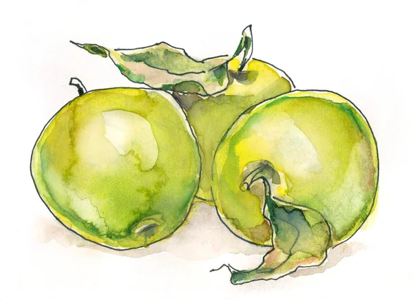 Зеленые яблоки и листья . — стоковое фото