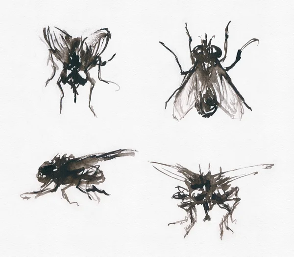 Sketchy flies — Stock Photo, Image