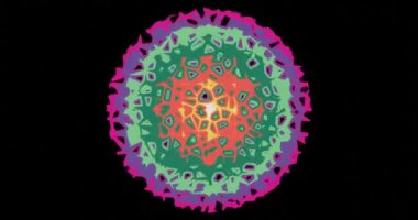 Şekil değiştiren kabarcıklar. Döngülü animasyon. Soyut sıvı şekiller, birbirine dönüşen renk lekeleri, siyah arkaplan üzerinde döndürülmüş çizgi film animasyonu..