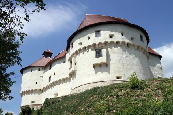 Duży zamek — Zdjęcie stockowe