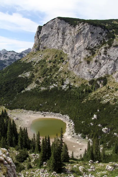 Lago verde — Fotografia de Stock