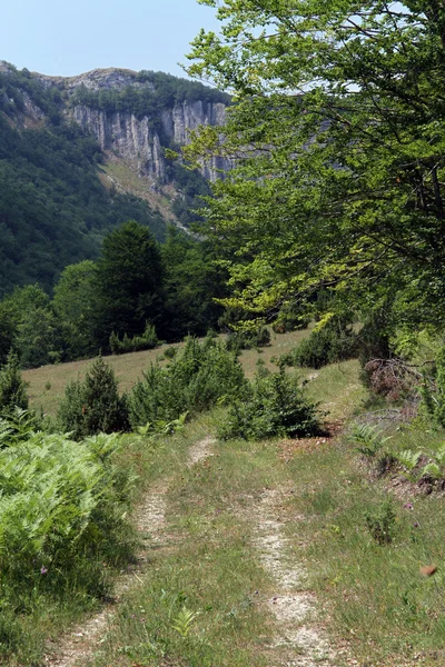 Two footpaths — Stock Photo, Image