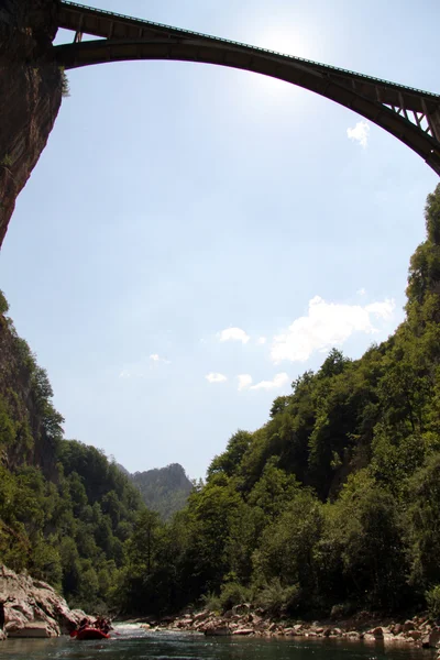 Bridge and raft in Tara — Stock Photo, Image