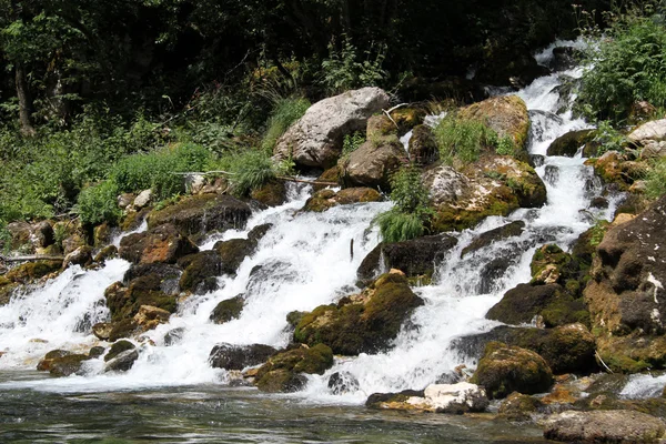 Stream en rivier — Stockfoto