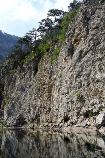 Río en cañón —  Fotos de Stock