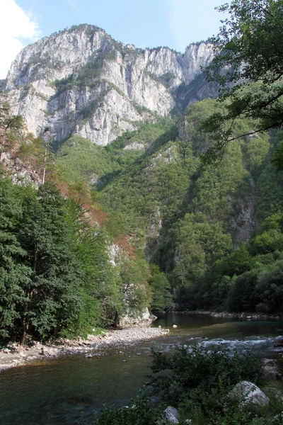 Río en cañón —  Fotos de Stock