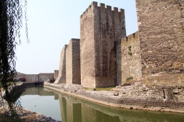 Yeşil su
