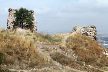 patikalar ve kalıntılar