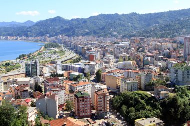 Rize göster