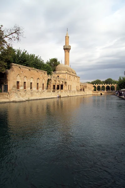 Mosque and lake — Stock Photo, Image