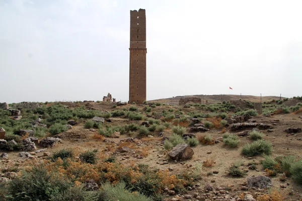 Minarete en Harran — Foto de Stock